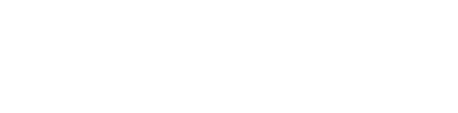 Fendyan-Logo